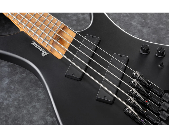 Пятиструнная мультимензурная бас-гитара IBANEZ EHB1005MS BKF