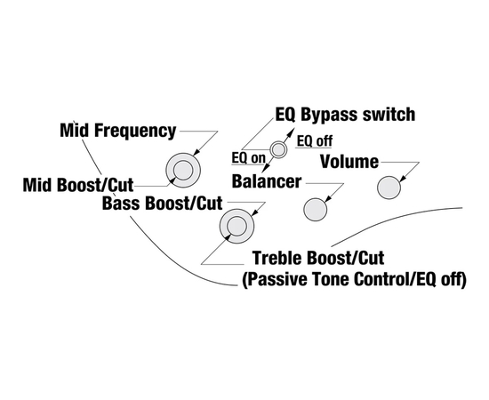 Бас-гітара IBANEZ EHB1500 CTF