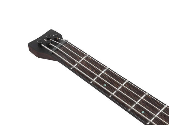 Бас-гітара IBANEZ EHB1500 CTF