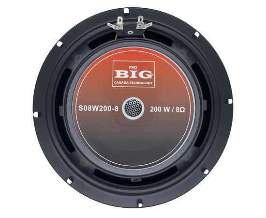Динамік BIG S08W200-8