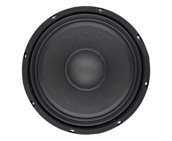 Динамик BIG S10W250-8