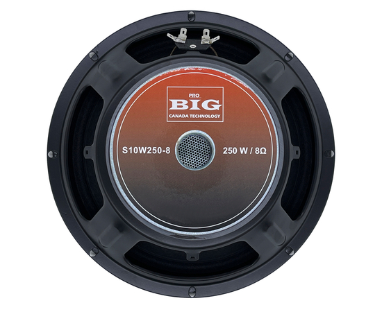 Динамик BIG S10W250-8