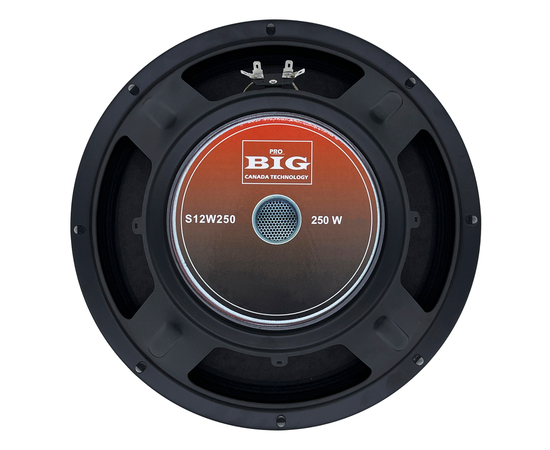 НЧ-динамик BIG S12W250-4