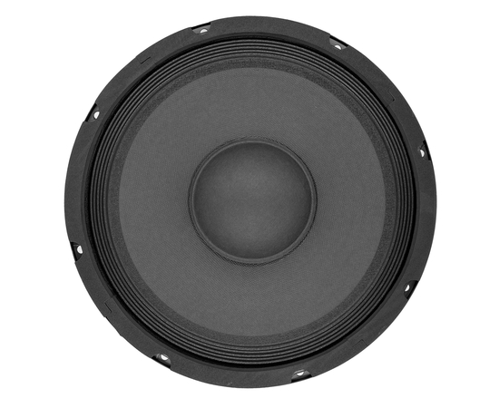 НЧ-динамик BIG S12W250-8