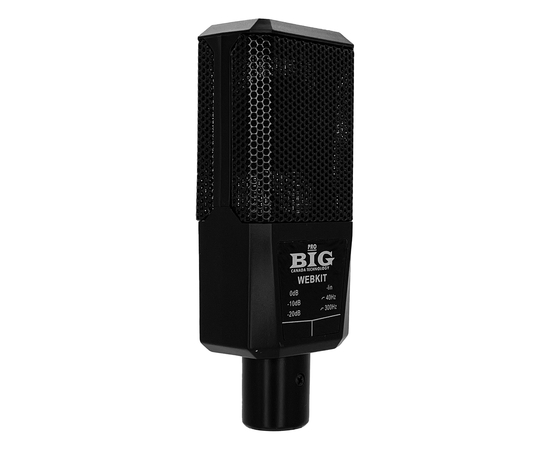 Набор для стриминга (микрофон + аксессуары) BIG WEBKIT