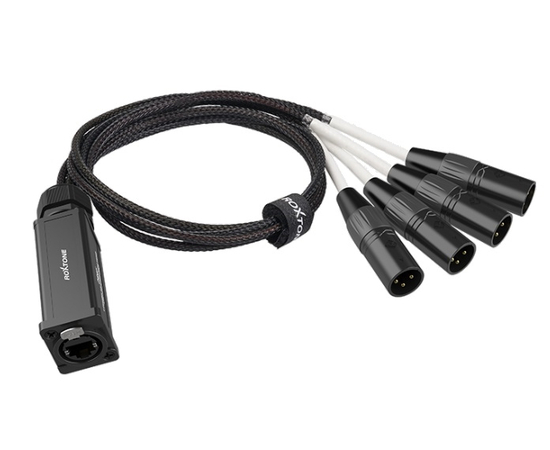 Розгалужувач CAT Snake Roxtone PS4F - 158800 за 2430 грн. | 4Club