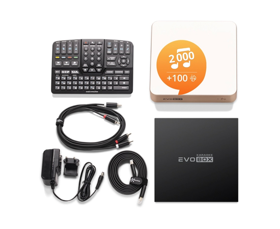 Караоке-система для дому Studio Evolution EVOBOX Gold