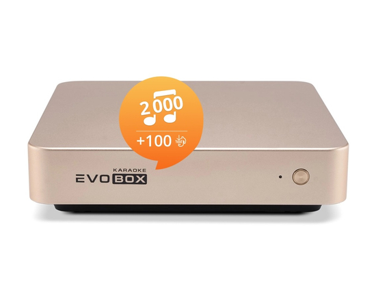Караоке-система для дому Studio Evolution EVOBOX Gold - 141910 за 49900 грн. | 4Club