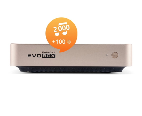 Караоке-система для дому Studio Evolution EVOBOX Gold