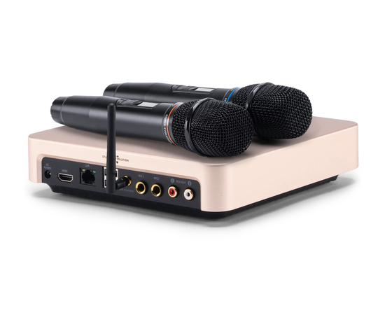 Караоке система Studio Evolution EVOBOX Plus Gold