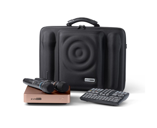 Караоке система Studio Evolution EVOBOX Plus Gold - 141917 за 125900 грн. | 4Club