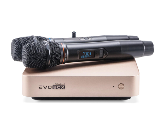 Караоке система Studio Evolution EVOBOX Plus Gold