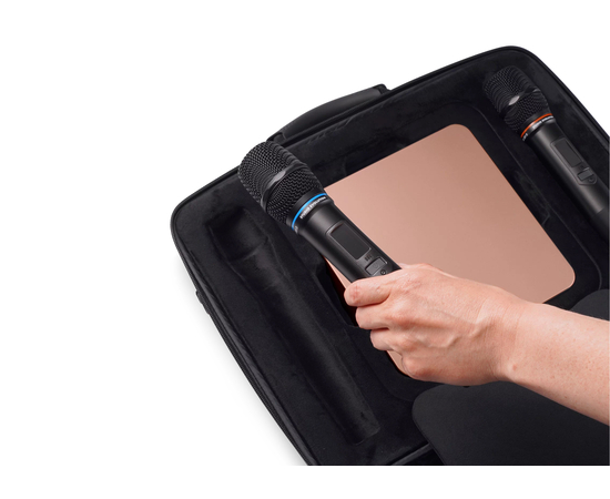 Караоке система Studio Evolution EVOBOX Plus Gold