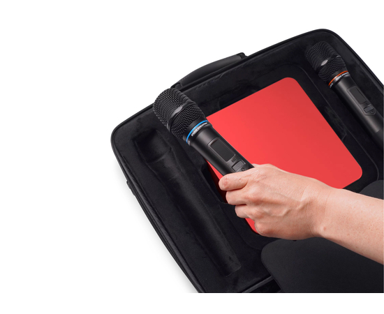 Караоке система Studio Evolution EVOBOX Plus Ruby