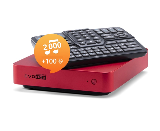 Караоке-система для дома Studio Evolution EVOBOX Ruby