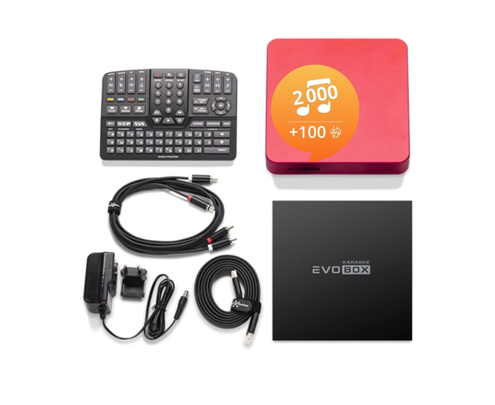 Караоке-система для дома Studio Evolution EVOBOX Ruby