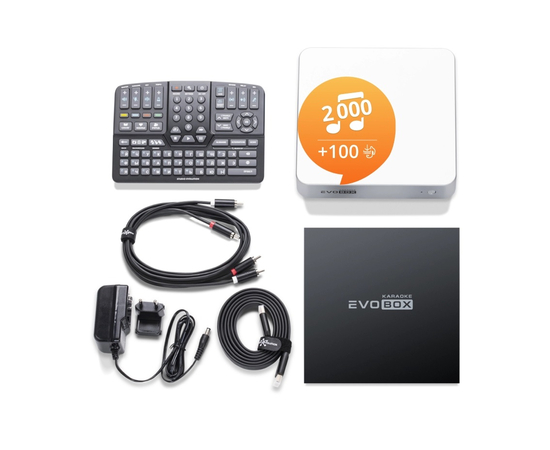 Караоке-система для дому Studio Evolution EVOBOX Silver