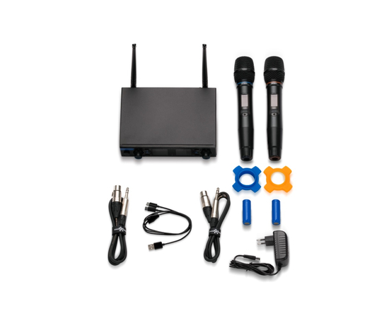 Цифровые микрофоны для караоке Studio Evolution SE 200D