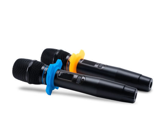 Цифровые микрофоны для караоке Studio Evolution SE 200D