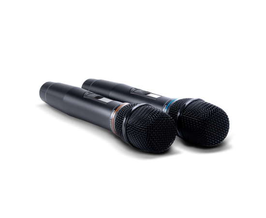 Цифровые микрофоны для караоке Studio Evolution SE 200D