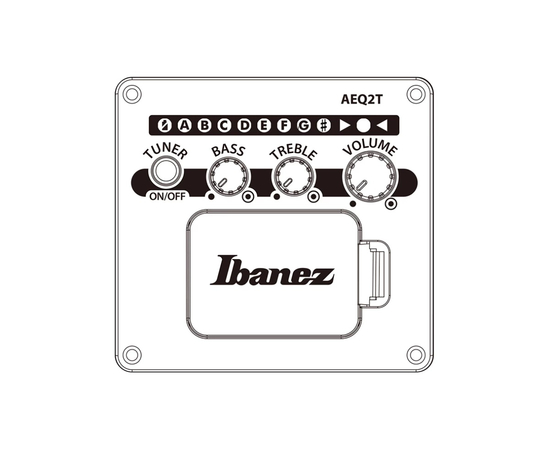 Электроакустическая гитара IBANEZ TCY621 BOT