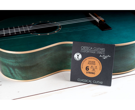 Струны для классической гитары Ortega Custom Authentic Regular Nylon NYA44N Normal Tension