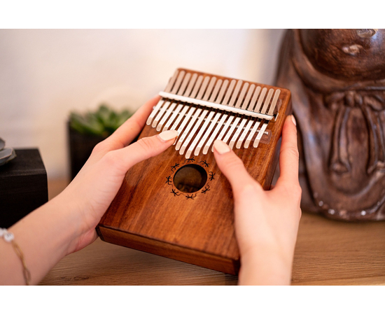 Калімба Ortega Lizard Series OKB1 Solid Acacia, 17 Keys
