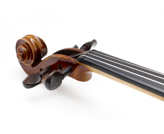 Скрипка Prima 300 4/4 (комплект)