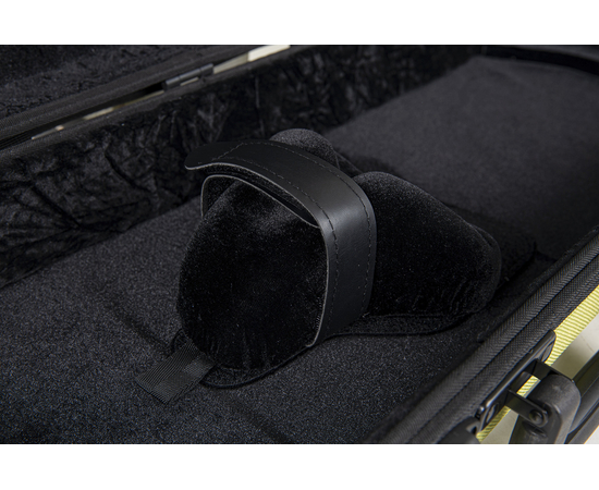 Футляр для скрипки GEWA Bio A 4/4 Lime