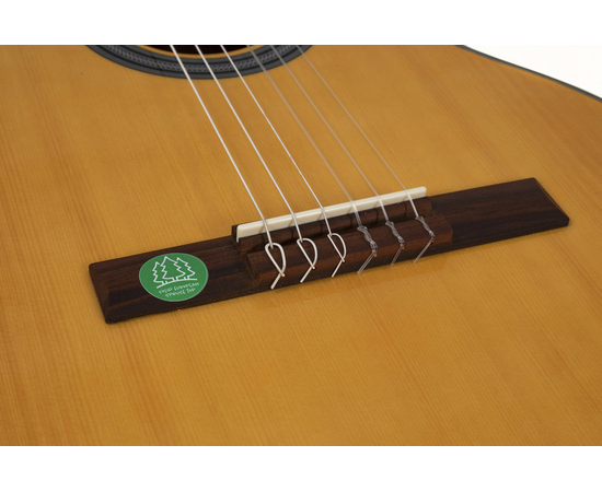 Классическая гитара GEWA Student EU Solid Top 4/4 Natural