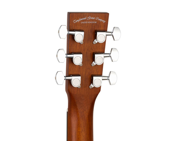 Акустична гітара TANGLEWOOD TC5