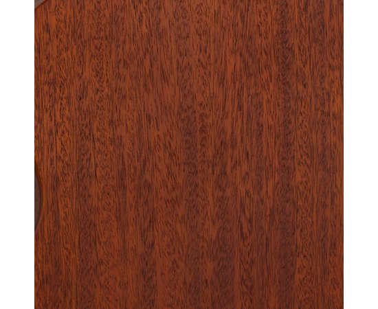 Акустична гітара TANGLEWOOD TC5