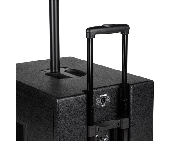 Акустическая система RCF EVOX12