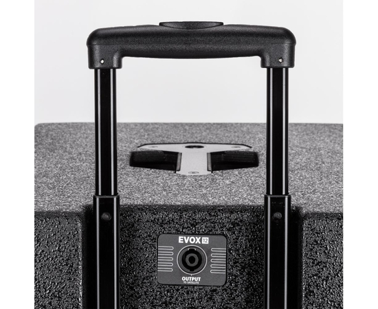 Акустическая система RCF EVOX12