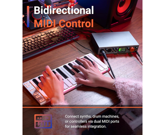 Аудіоінтерфейс ESI Amber i2