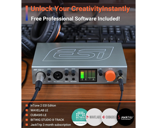 Аудіоінтерфейс ESI Amber i2