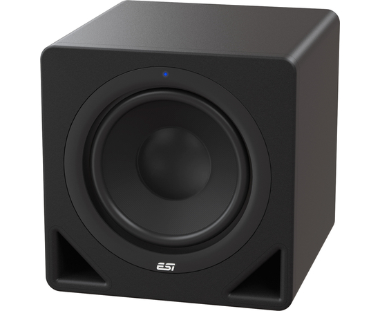 Студийный сабвуфер Egosystems ESI aktiv 10 - 124298 за 21120 грн. | 4Club
