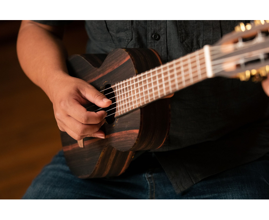 Гиталеле Ortega Travel RGL5EB Ebony Natural