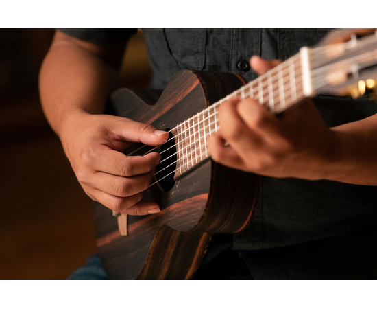 Гиталеле Ortega Travel RGL5EB Ebony Natural