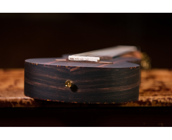 Гиталеле Ortega Travel RGL5EB Ebony Natural