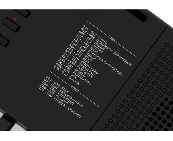 Синтезатор Roland E-X10
