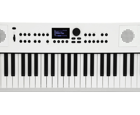 Синтезатор Roland GO:KEYS-5-WH