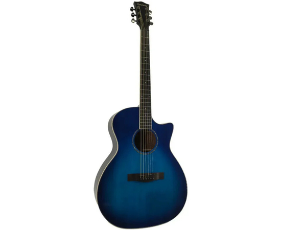 Акустическая гитара Toneberg T340-FG-BL - 160260 за 7805 грн. | 4Club