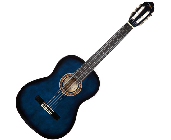 Классическая гитара 4/4 VALENCIA VC104BUS - 160380 за 3543 грн. | 4Club