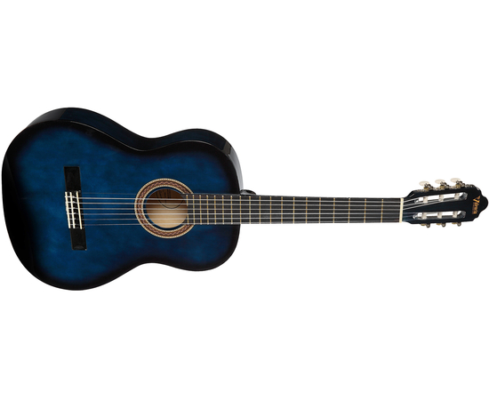 Классическая гитара 4/4 VALENCIA VC104BUS