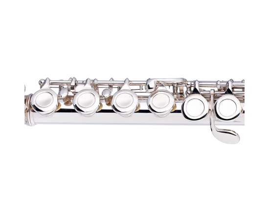 Флейта STAGG P WS-FLL111