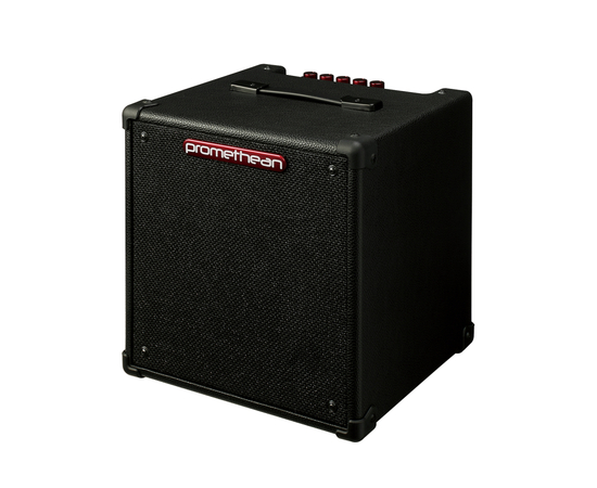 Комбоусилитель для бас-гитары IBANEZ P20-U