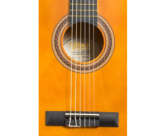 Класична гітара 3/4 (набір) VALENCIA VC103K