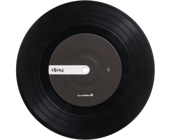 Контрольна вінілова платівка Reloop Algoriddim djay Control Vinyl 7"