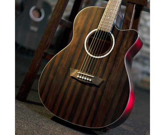 Електроакустична гітара Washburn DFEACE-U